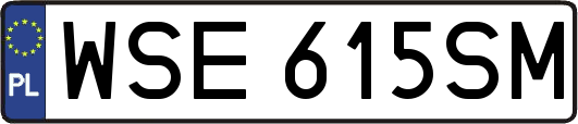 WSE615SM