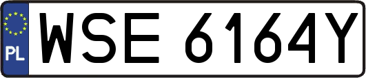WSE6164Y