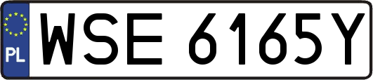 WSE6165Y