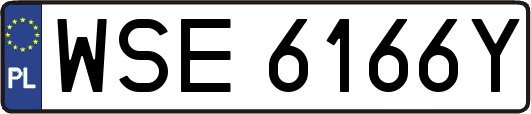 WSE6166Y