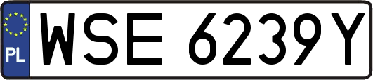 WSE6239Y