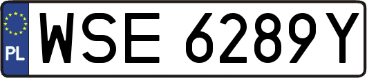 WSE6289Y