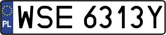 WSE6313Y