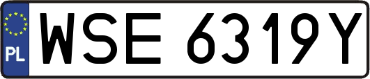 WSE6319Y