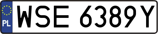 WSE6389Y