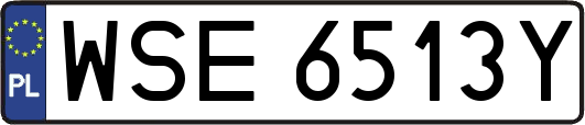 WSE6513Y