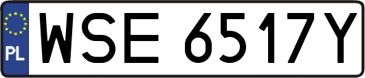 WSE6517Y