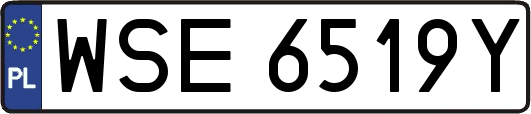 WSE6519Y
