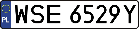 WSE6529Y