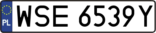 WSE6539Y