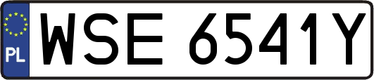 WSE6541Y