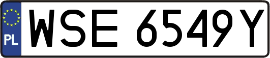 WSE6549Y