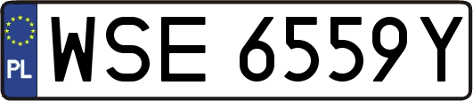 WSE6559Y