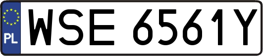 WSE6561Y