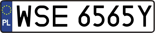 WSE6565Y