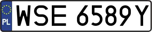 WSE6589Y