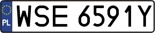 WSE6591Y