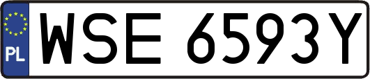 WSE6593Y