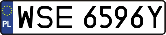 WSE6596Y