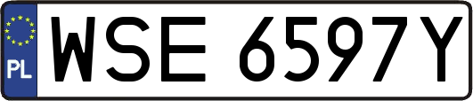 WSE6597Y