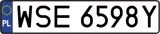 WSE6598Y