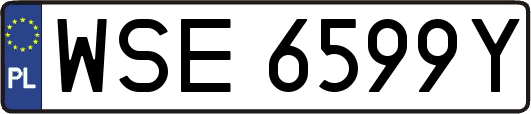 WSE6599Y