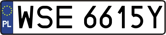 WSE6615Y
