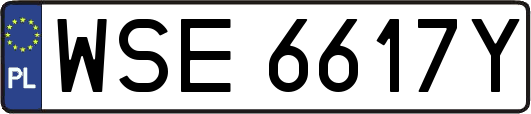 WSE6617Y