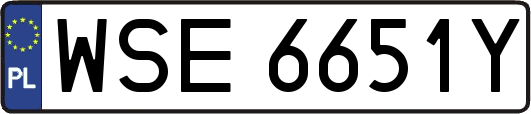 WSE6651Y