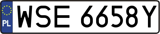 WSE6658Y