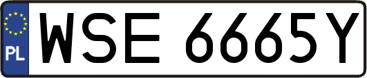 WSE6665Y