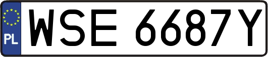 WSE6687Y