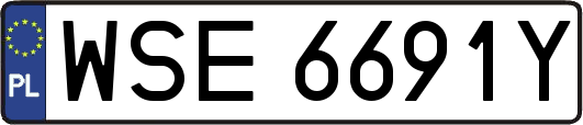 WSE6691Y