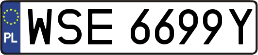 WSE6699Y