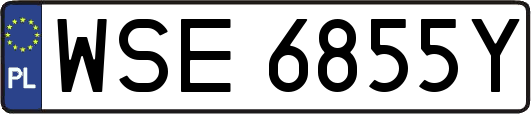 WSE6855Y