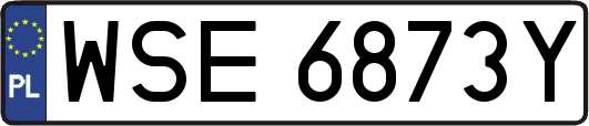 WSE6873Y