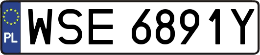 WSE6891Y