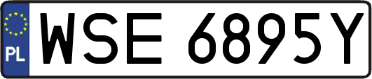 WSE6895Y