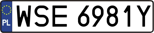 WSE6981Y