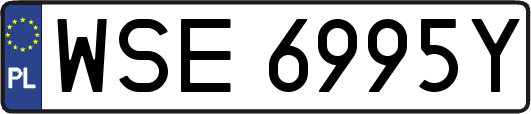 WSE6995Y