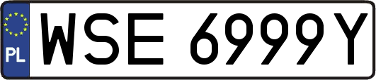 WSE6999Y