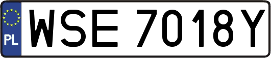 WSE7018Y