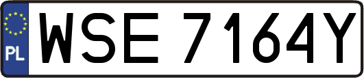 WSE7164Y