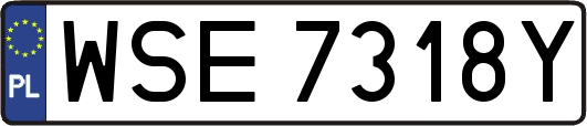 WSE7318Y