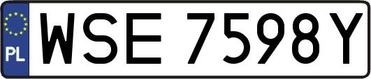 WSE7598Y