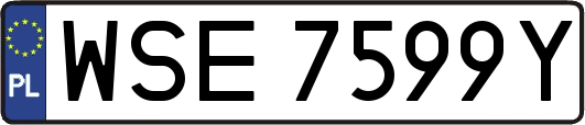 WSE7599Y