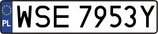 WSE7953Y