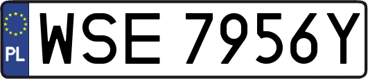 WSE7956Y