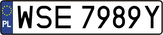 WSE7989Y
