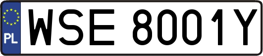 WSE8001Y